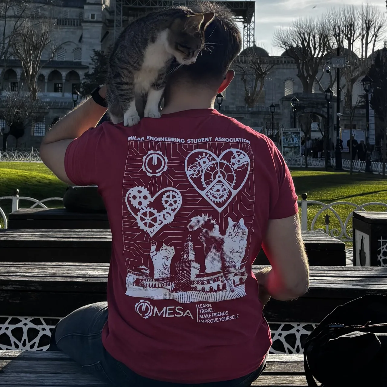 Official T-shirt